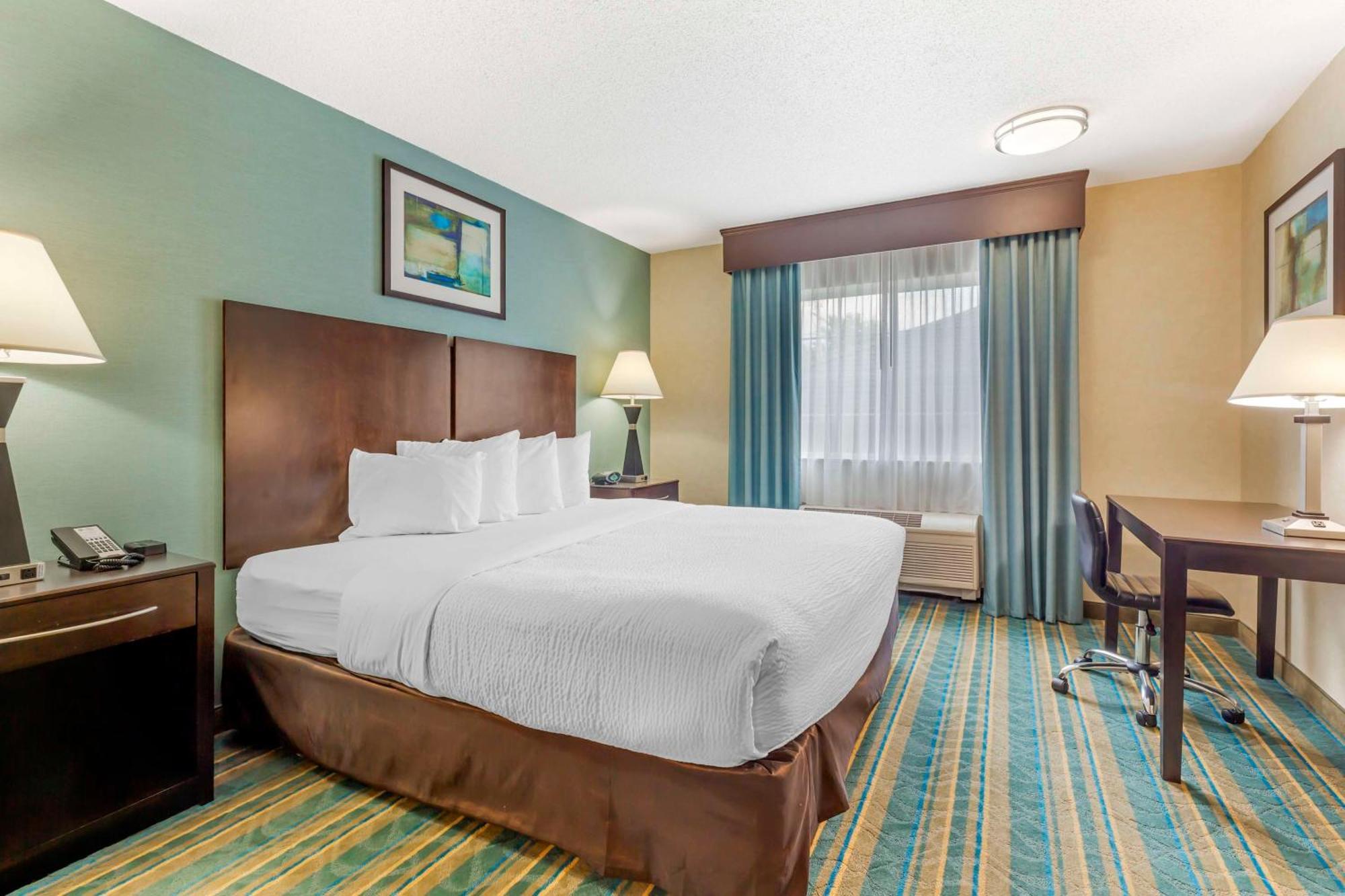 Best Western Plus Berkshire Hills Inn&Suites Pittsfield Buitenkant foto