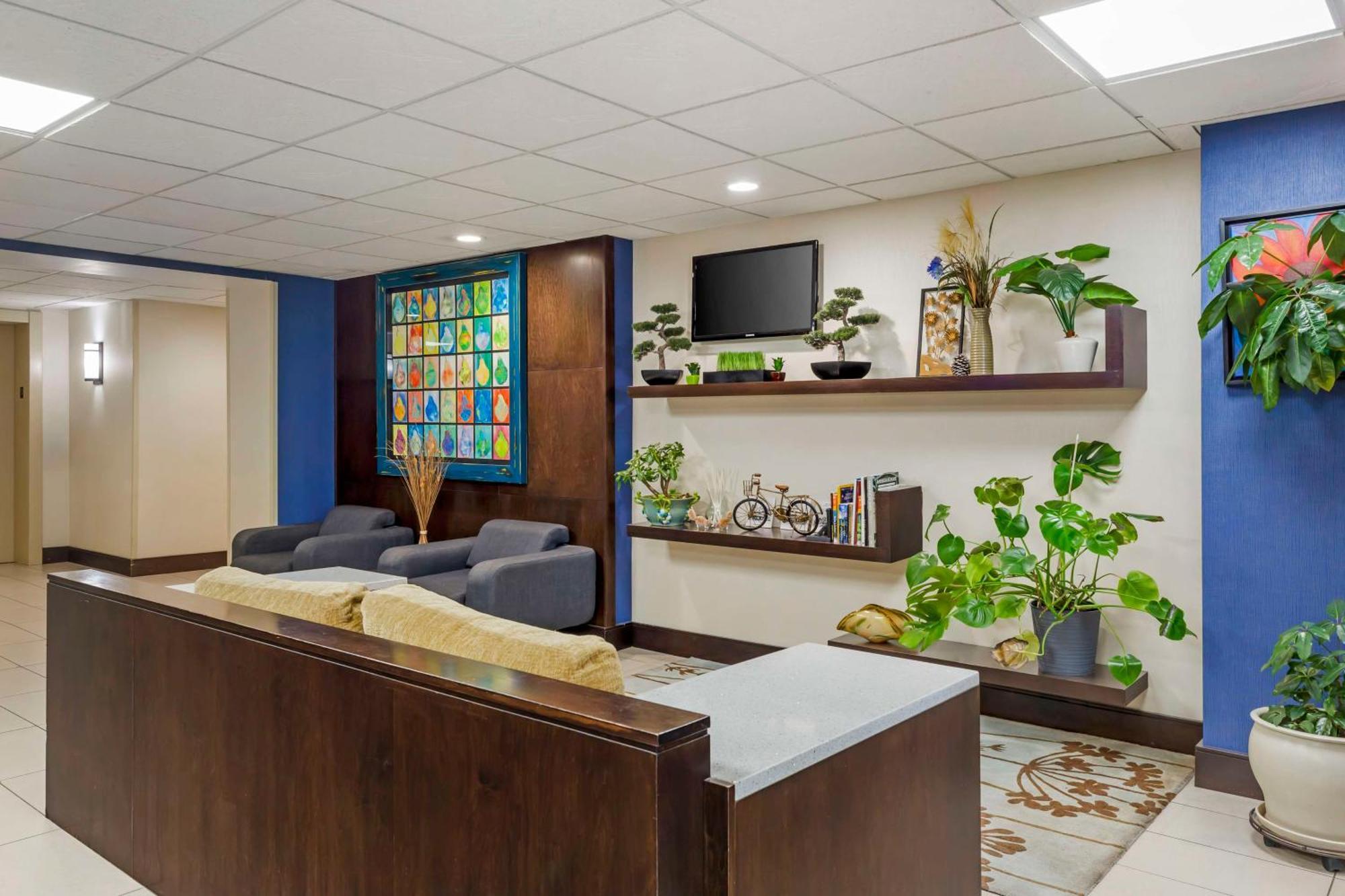 Best Western Plus Berkshire Hills Inn&Suites Pittsfield Buitenkant foto